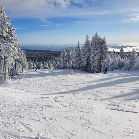 Horsky Temari 2 Klinovec 아파트 Loučná pod Klínovcem