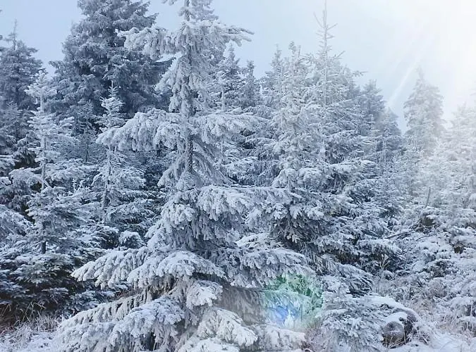 Apartment Horsky Temari 2 Klinovec Loučná pod Klínovcem