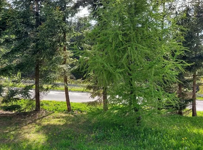 Lägenhet Horsky Temari 2 Klinovec